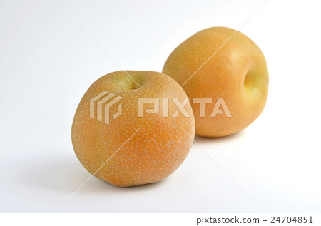 Pear (Toyomi pear) Pear (Toyomi pear) 24704851