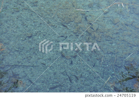 Quadro Siena Gas in the desert 24705119