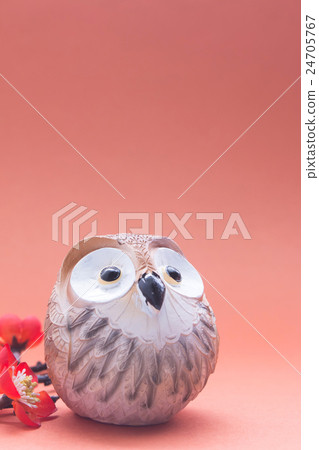 貓頭鷹(垂直) 貓頭鷹(垂直) 24705767