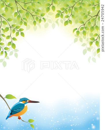 common kingfisher, jade, kingfisher 24705942