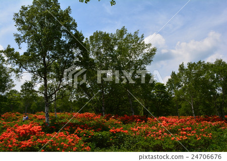 I went to Hataka ranch ⑦ 24706676