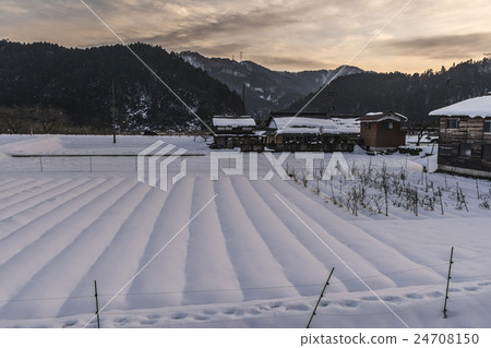 美山町雪景 24708150