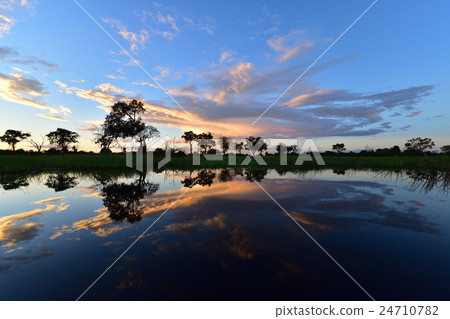 Africa Cruise 04 24710782