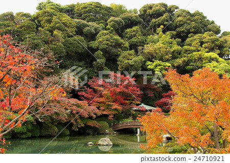 Chofu Garden in late autumn, ablaze with the colors of autumn leaves 24710921