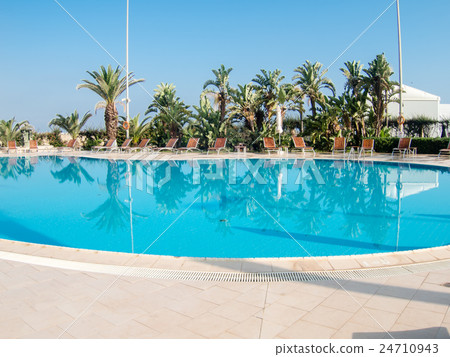 Outdoor pool surrounded by palm trees and beach chairs Outdoor pool surrounded by palm trees and beach chairs 24710943