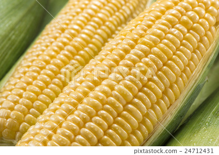 Corn Corn 24712431