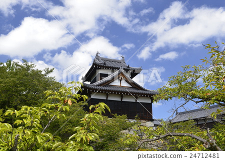 [奈良]郡山城 24712481