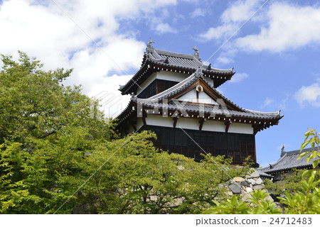 [奈良]郡山城 24712483