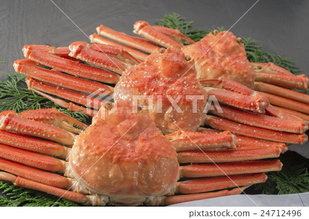 Snow crab Snow crab 24712496