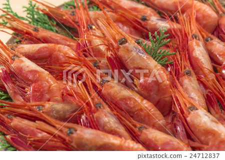 蝦 24712837