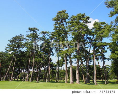 千葉的高爾夫球場 千葉的高爾夫球場 24713473