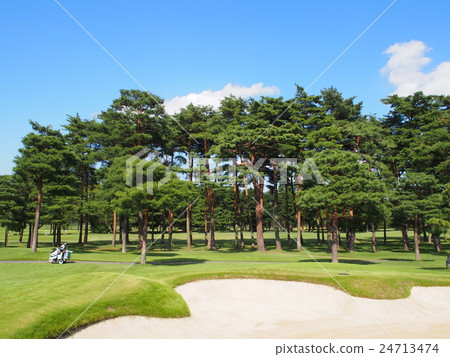 千葉的高爾夫球場 24713474