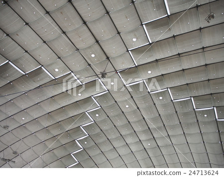 Tokyo Dome ceiling 24713624