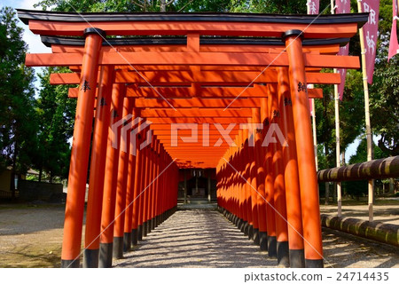 Suizenji Park Inari shrine 24714435