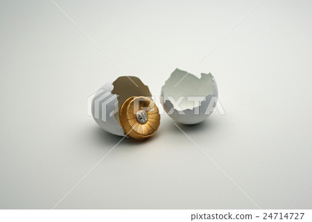 Lawyer's egg 24714727