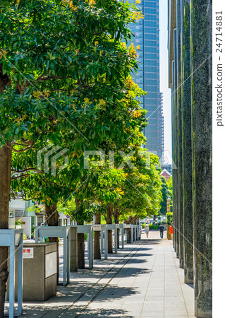 [Tokyo] The streets of Tokyo 24714881