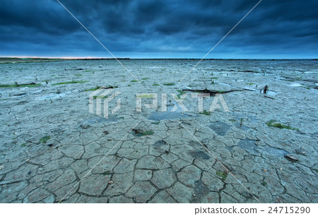 cracked Wadden sea coast in summer at low tide 24715290
