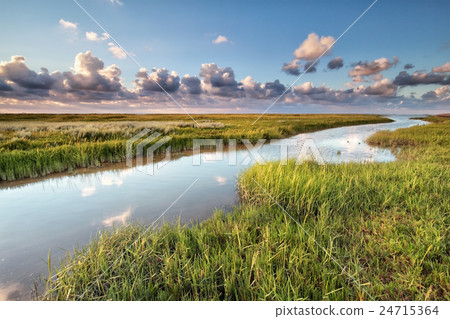 Wadden sea coast by Moddergat 24715364