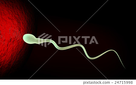 Cartoon illustration of human sperms and egg Cartoon illustration of human sperms and egg 24715998