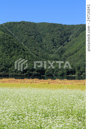 Fall of Kozaki Lake Fall of Kozaki Lake 24716841