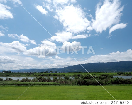 Scenery along the spring Chikugo River 24716850