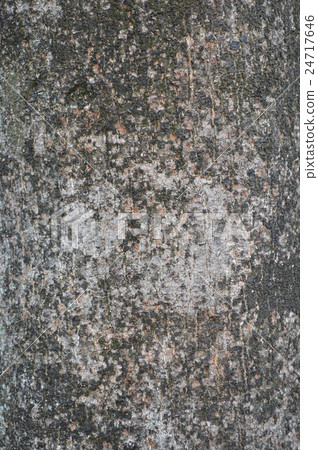 Horn sunflower skin Horn sunflower skin 24717646