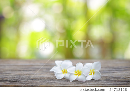 Frangipani flowers on wooden table Frangipani flowers on wooden table 24718128