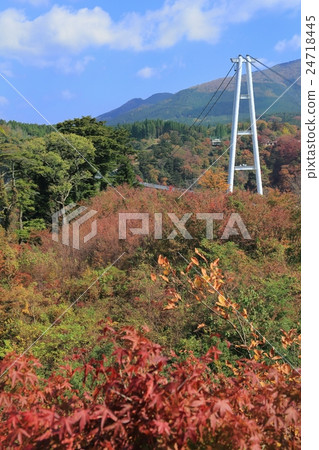 Kokonoe "Dream" Great bridge suspension autumn leaves 24718445