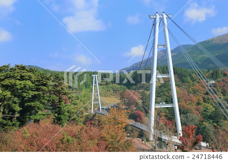 Kokonoe "Dream" Great bridge suspension autumn leaves 24718446