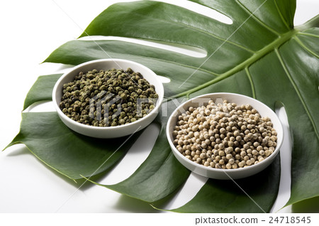 龜背竹，白胡椒和青椒 24718545