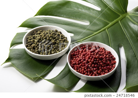 龜背竹和粉紅胡椒和青椒 24718546