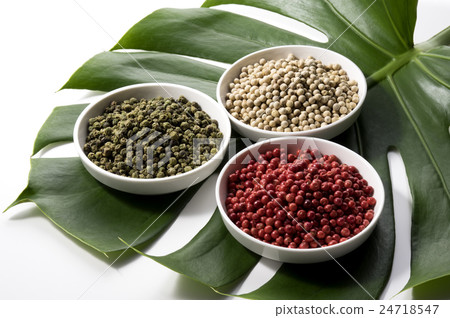 龜背竹和三種辣椒 24718547