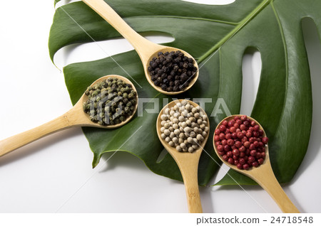 龜背竹和四種辣椒 24718548