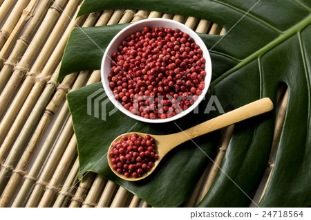 龜背竹和粉紅胡椒 24718564