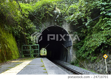 A green covered tunnel 24718701