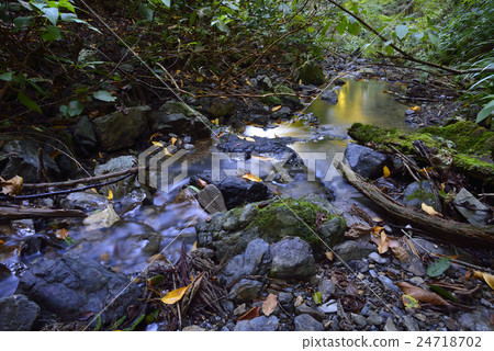 Clear current of Mt. Takao 24718702