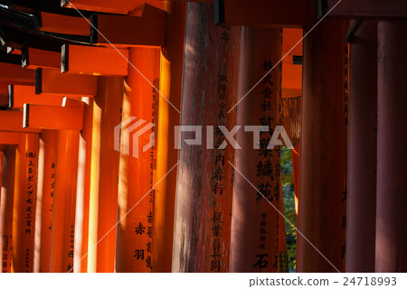 Close-up of Torii gates at Fushimi Inari Shrine Close-up of Torii gates at Fushimi Inari Shrine 24718993