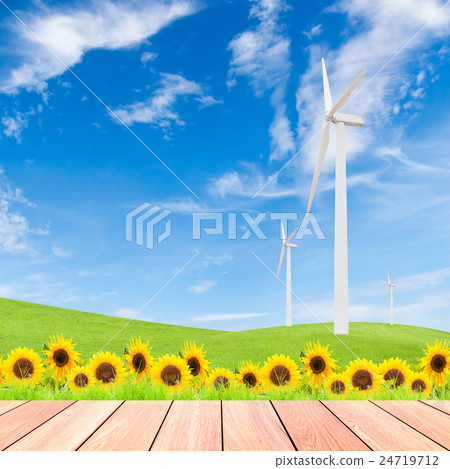 sunflowers with wind turbine on green grass field 24719712
