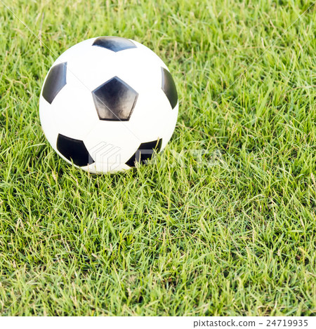 soccer ball on green grass soccer ball on green grass 24719935