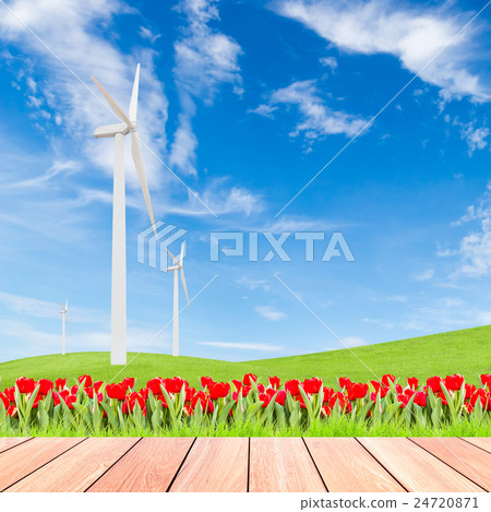 tulips with wind turbine on green grass field tulips with wind turbine on green grass field 24720871