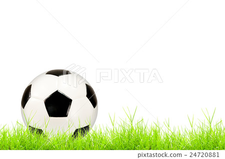 soccer ball on green grass 24720881
