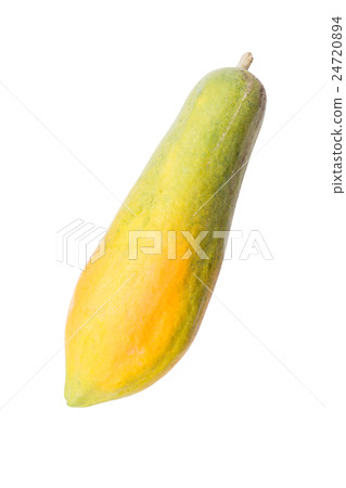 papaya papaya 24720894