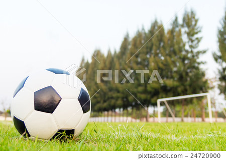 soccer ball soccer ball 24720900