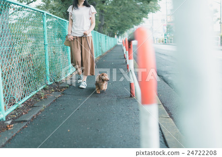 毛小孩 毛孩 寵物 24722208