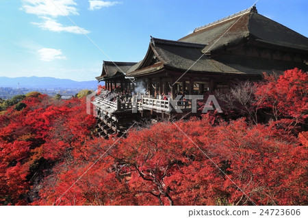Autumn leaves of Kyoto Kiyomizudera 24723606