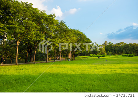 Green park with lawn 24723721