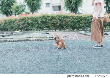 毛小孩 毛孩 寵物 24724073