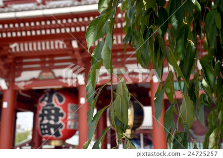 Blurred background Sensoji-ji Red Japan Temple  24725257