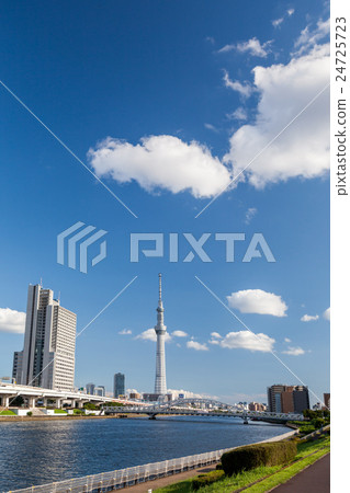 東京大都會汐留公園的東京天空樹 東京大都會汐留公園的東京天空樹 24725723