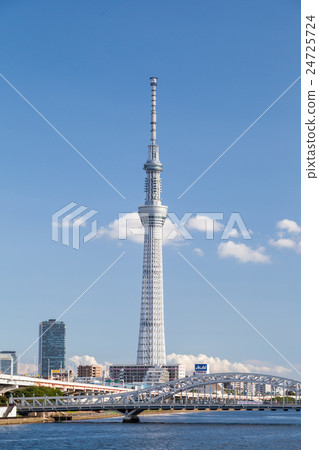 Tokyo Sky Tree from Tokyo Metropolitan Shiodome Park Tokyo Sky Tree from Tokyo Metropolitan Shiodome Park 24725724
